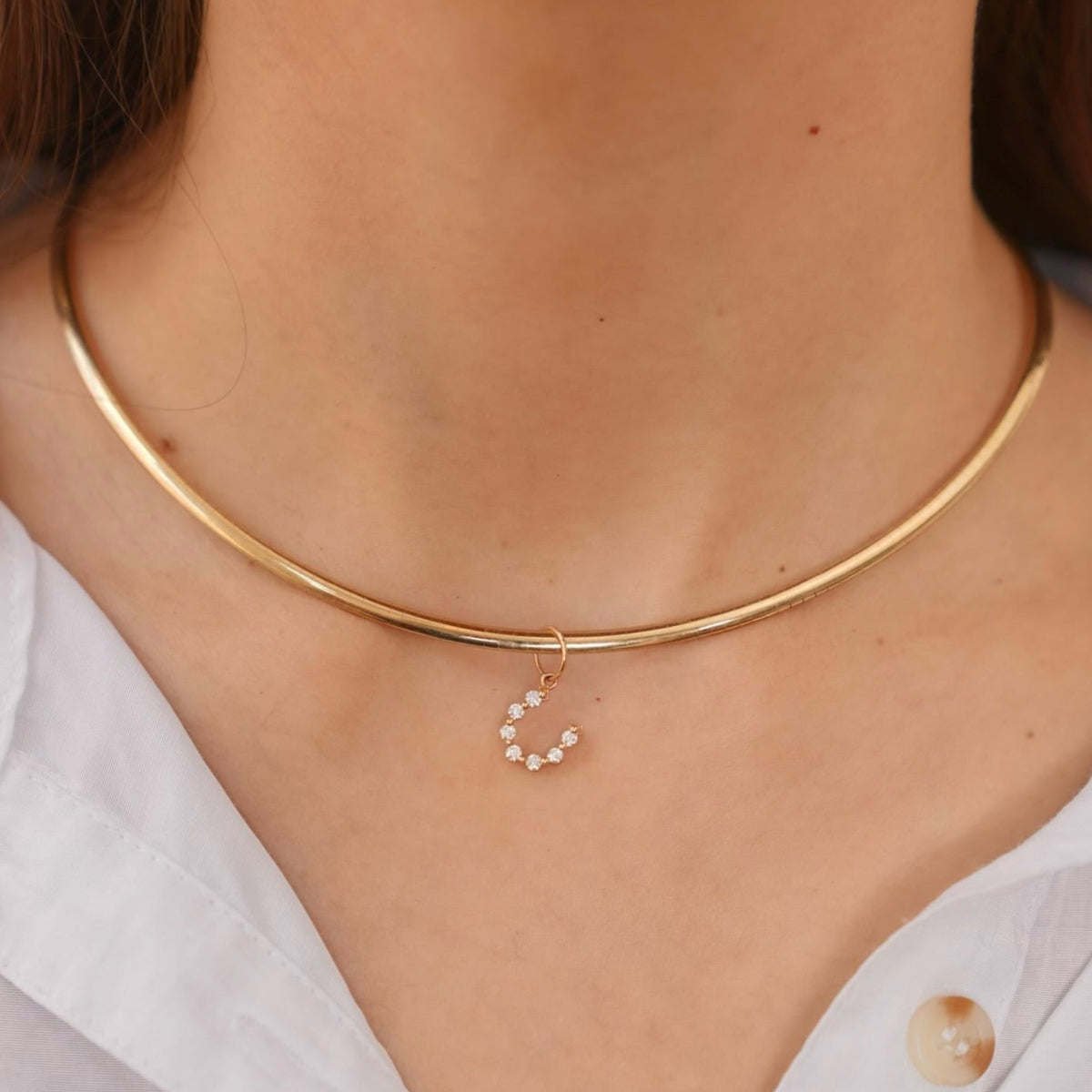Little Posie Charlie Cloud® Floating Diamond Horseshoe Charm 0.25 ctw, Seager Gold Collar Necklace
Success
