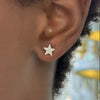 Luna Star Stud