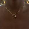 custom cattle brand necklace