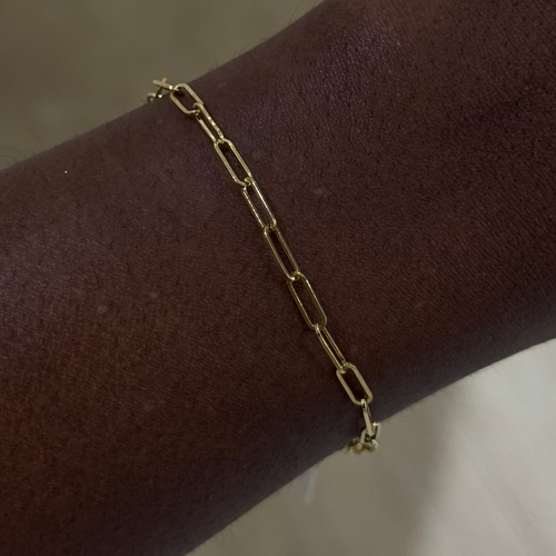 dani paperclip chain bracelet