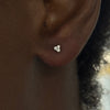 trilogy stud RW Fine