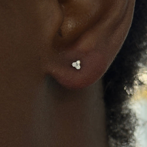 trilogy stud RW Fine