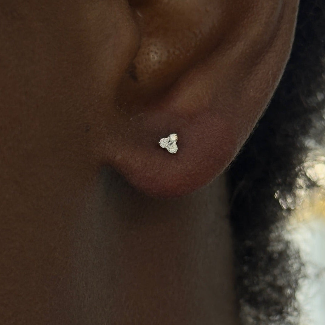 trilogy stud RW Fine