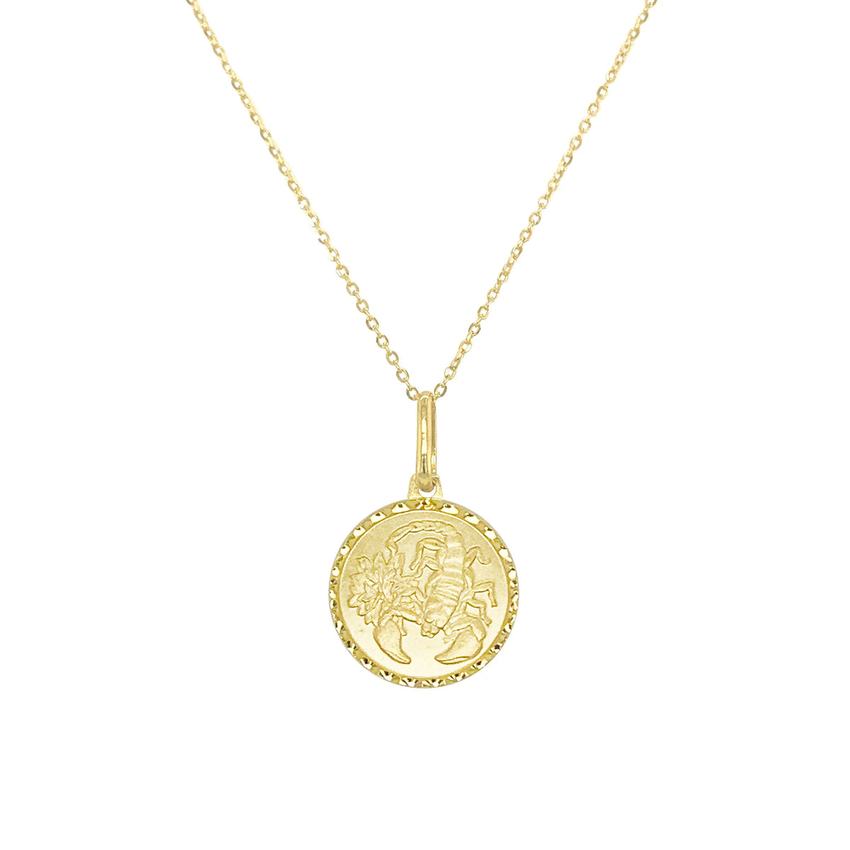 Zodiac 14k Gold Coin Necklace – RW Fine Jewelry