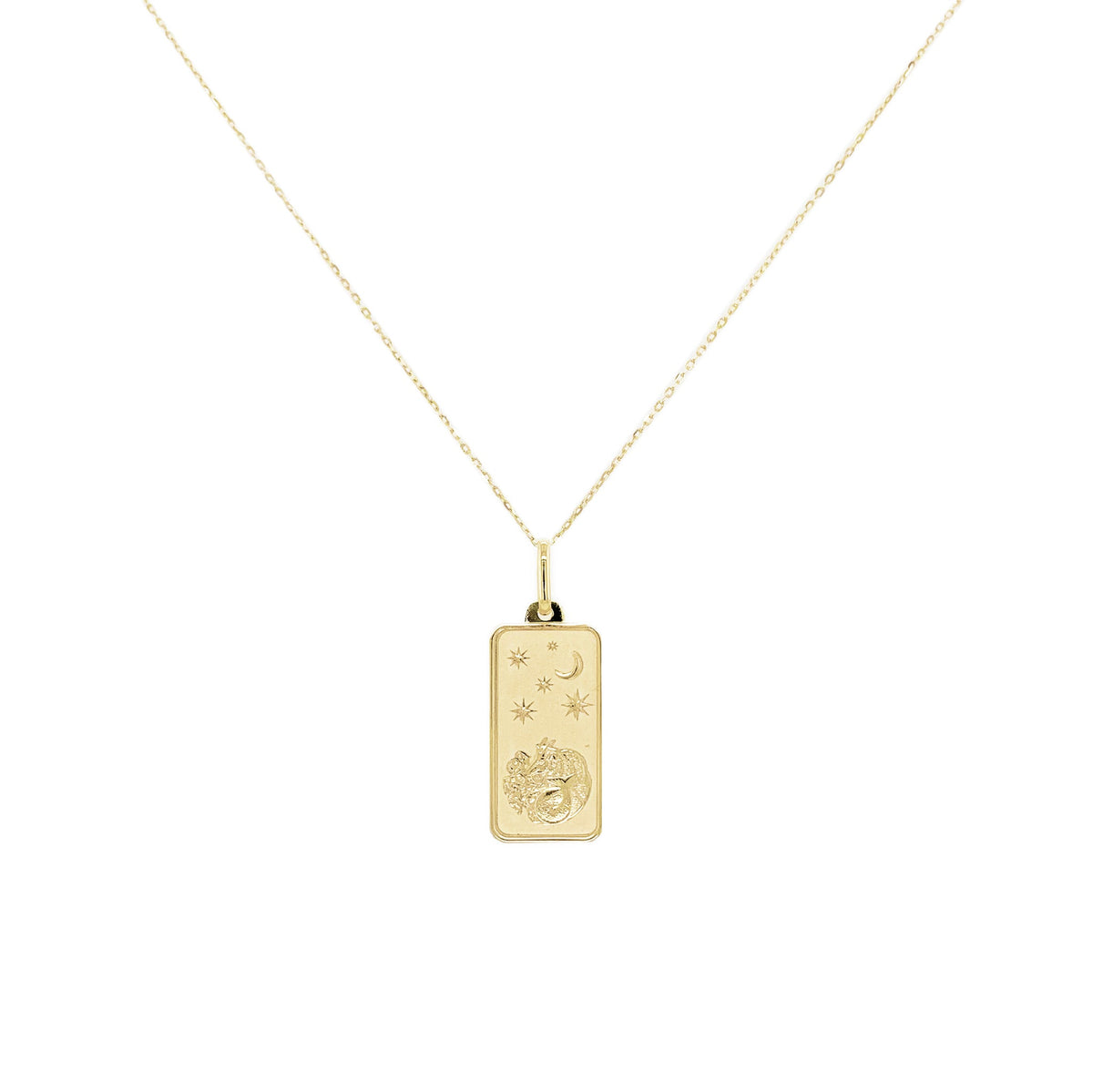 Zodiac 14k Gold Tag Necklace