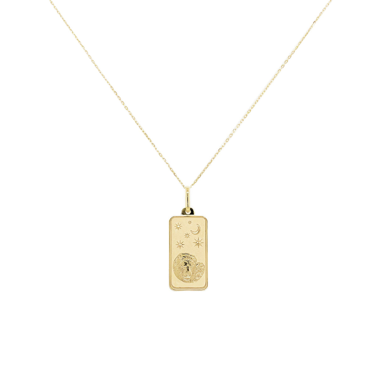 Zodiac 14k Gold Tag Necklace